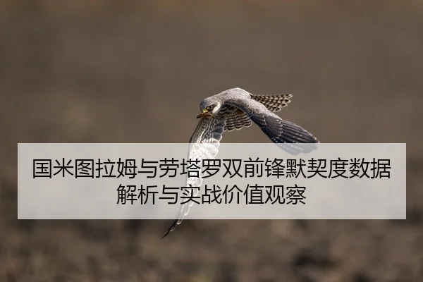 国米图拉姆与劳塔罗双前锋默契度数据解析与实战价值观察 | leyu