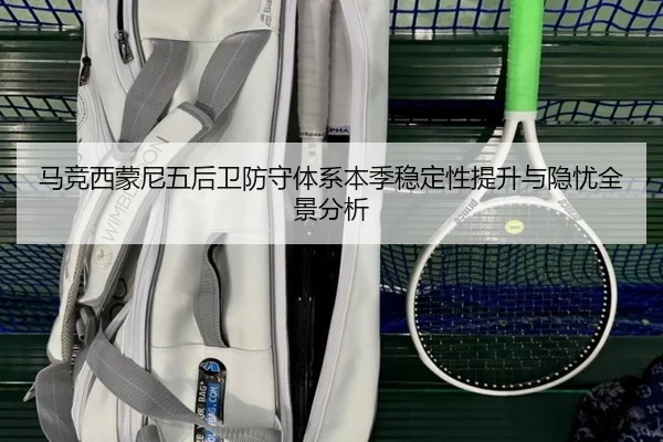 ma-jing-xi-meng-ni-wu-hou-wei-fang-shou-ti-xi-ben-ji-wen-ding-xing-ti-sheng-yu-yin-you-quan-jing-fen-xi-2-143.jpg