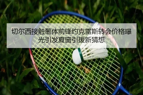 切尔西接触葡体前锋约克雷斯转会价格曝光引发夏窗引援新猜想